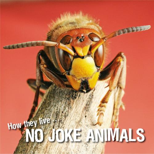 Cover of the book How they live... No joke animals by David Withrington, Ivan Esenko, Okaši