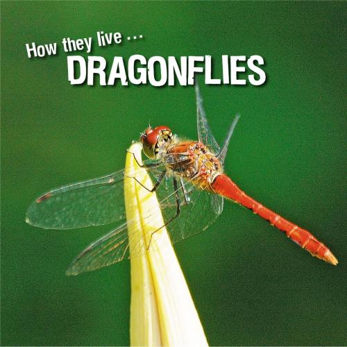Cover of the book How they live... Dragonflies by David Withrington, Ivan Esenko, Okaši