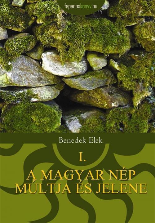 Cover of the book A magyar nép múltja és jelene 1. by Benedek Elek, PublishDrive