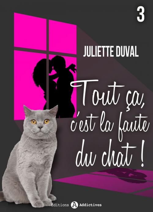 Cover of the book Tout ça, c’est la faute du chat ! - 3 by Juliette Duval, Editions addictives