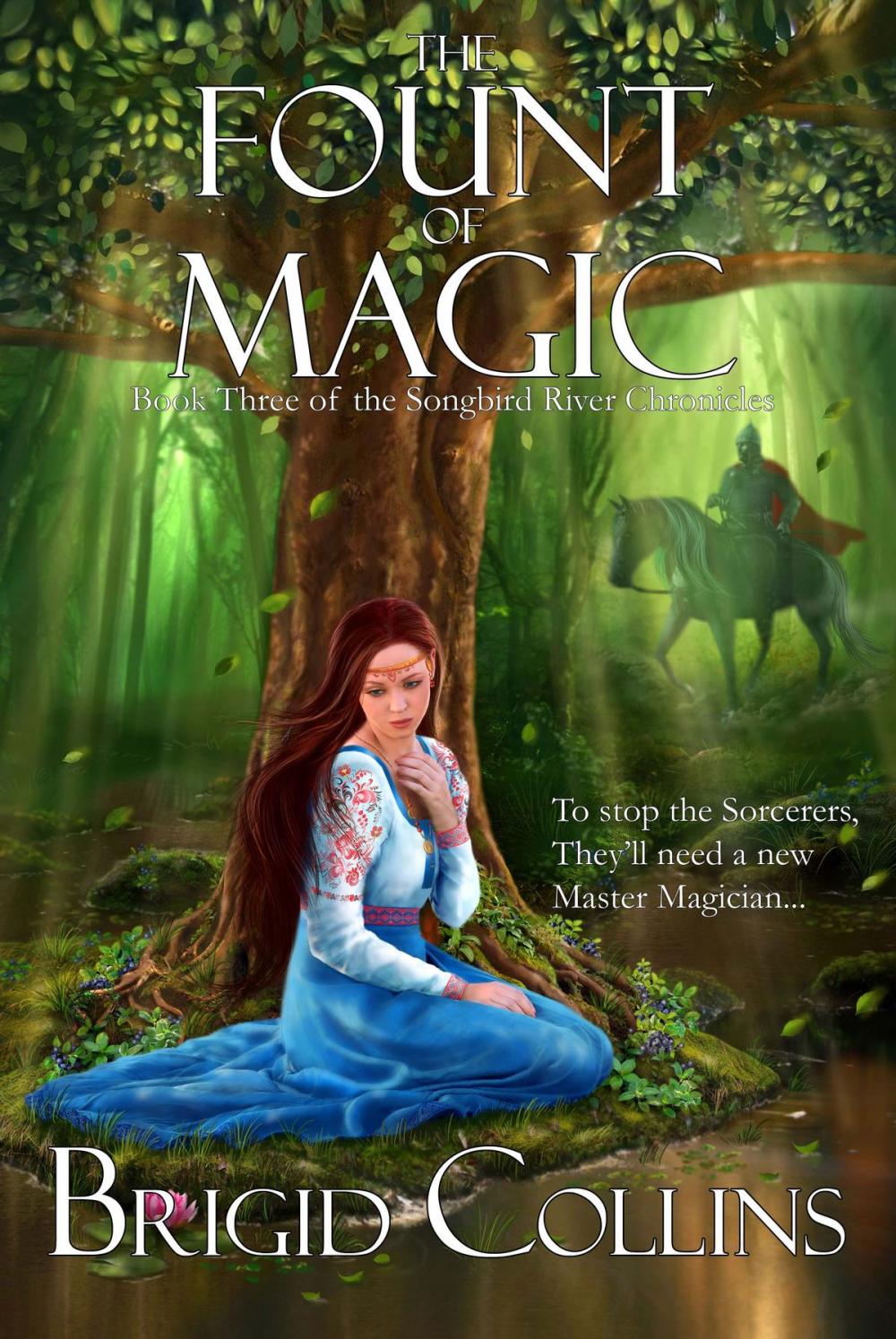 Big bigCover of The Fount of Magic