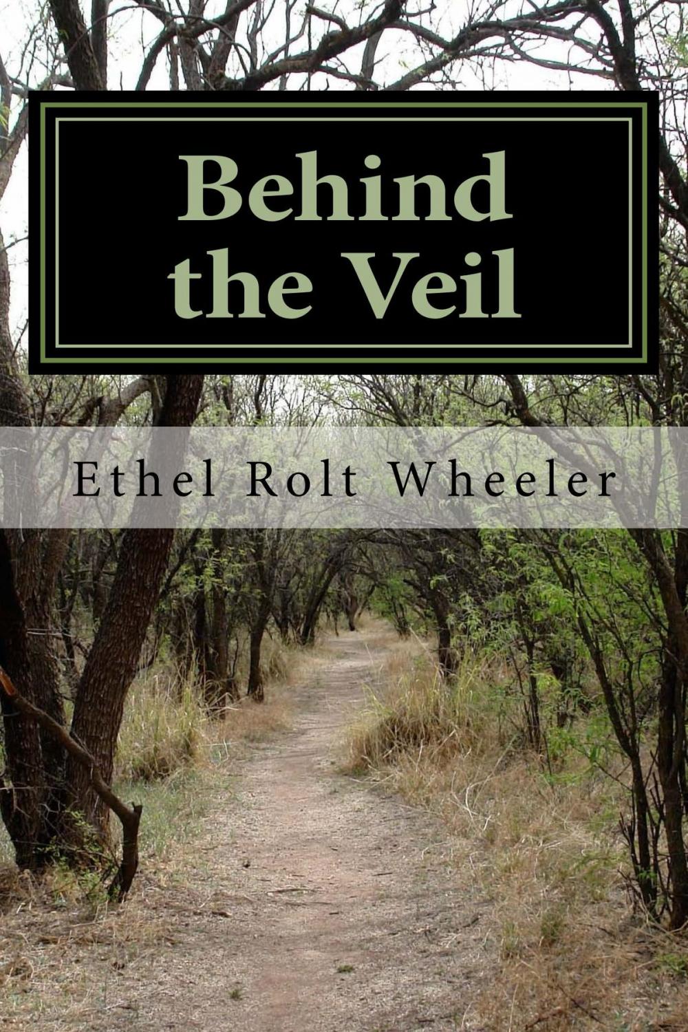 Big bigCover of Behind the Veil (Illustrated Edition)