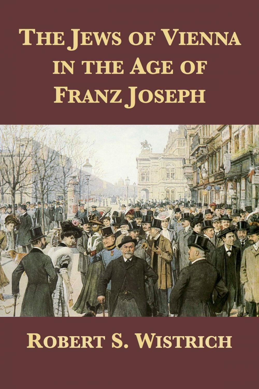 Big bigCover of The Jews of Vienna in the Age of Franz Joseph