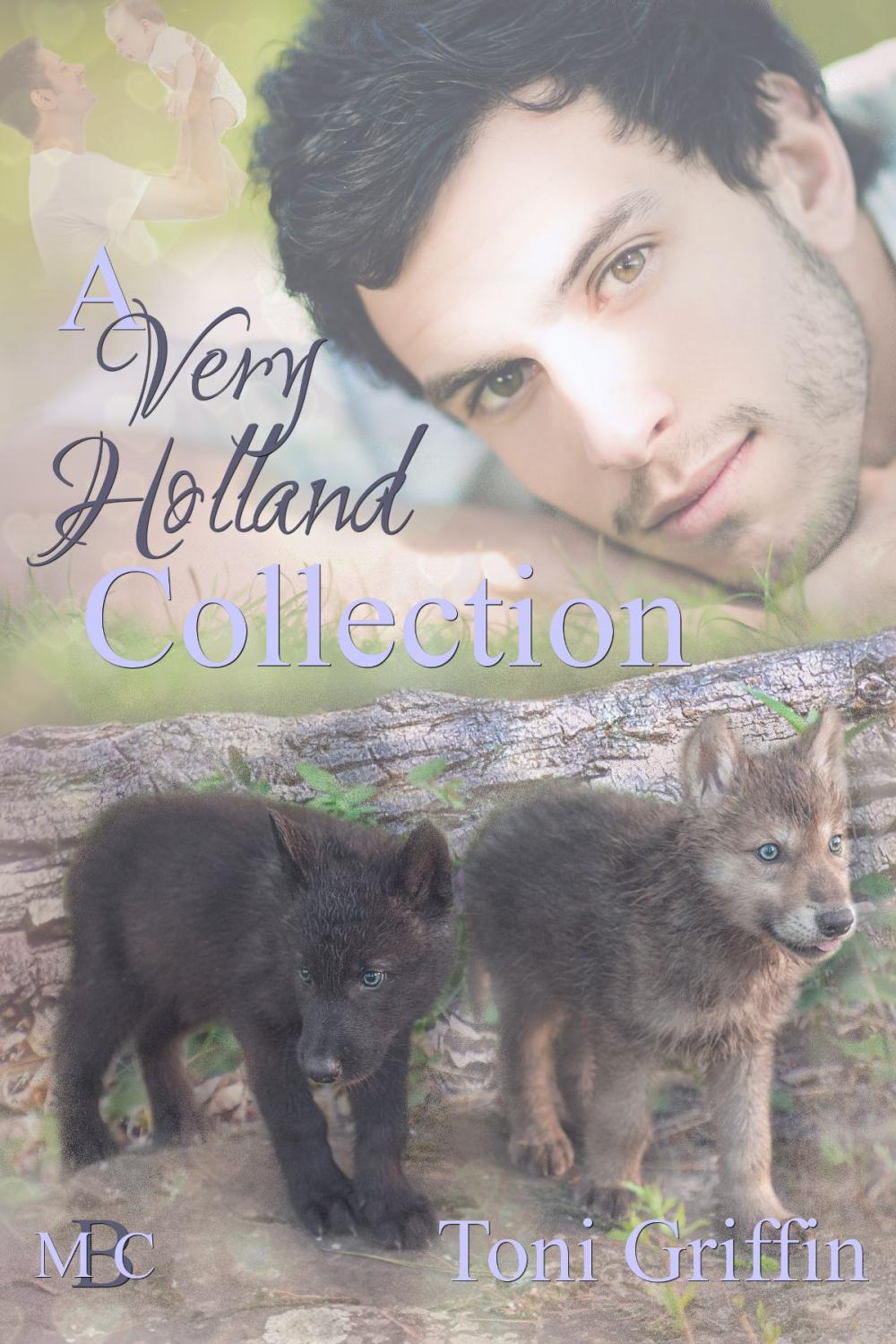 Big bigCover of A Very Holland Collection