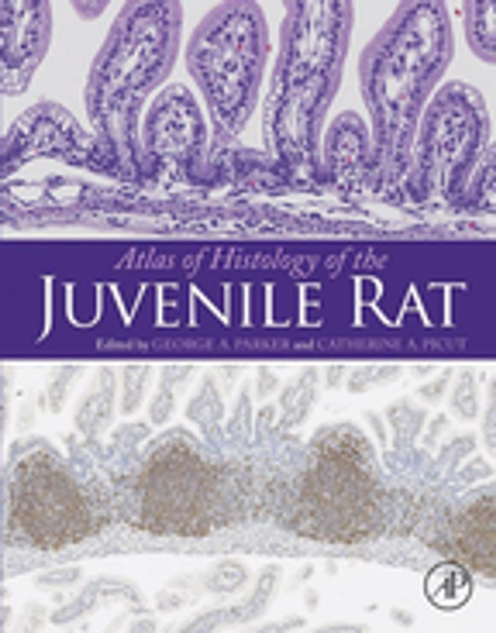Big bigCover of Atlas of Histology of the Juvenile Rat