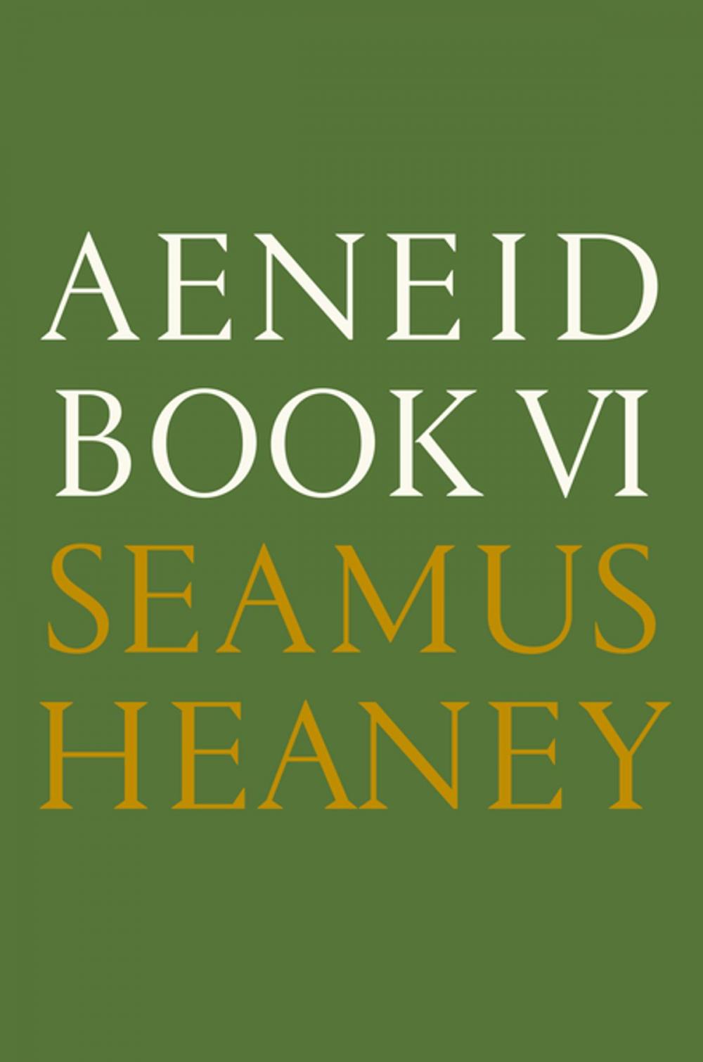 Big bigCover of Aeneid Book VI