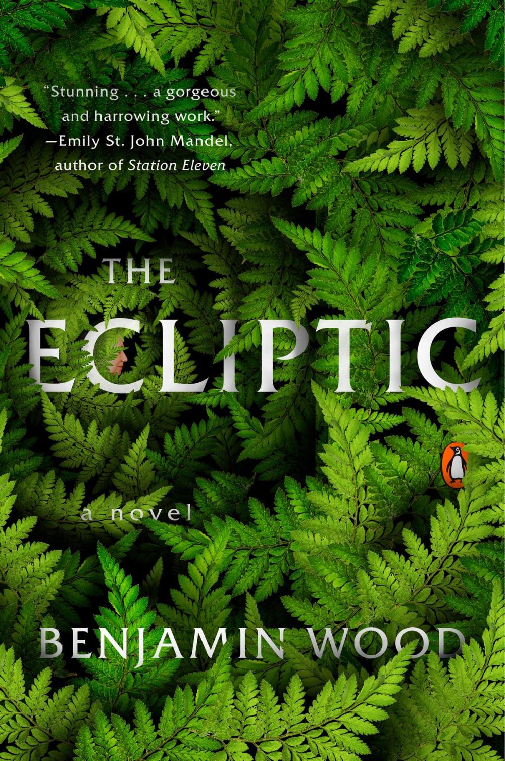 Big bigCover of The Ecliptic