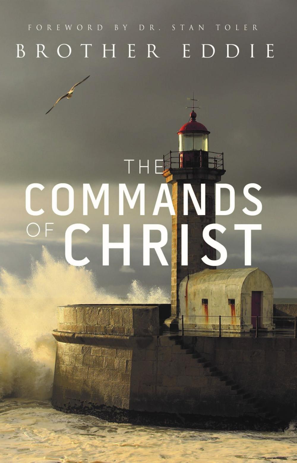 Big bigCover of The Commands of Christ