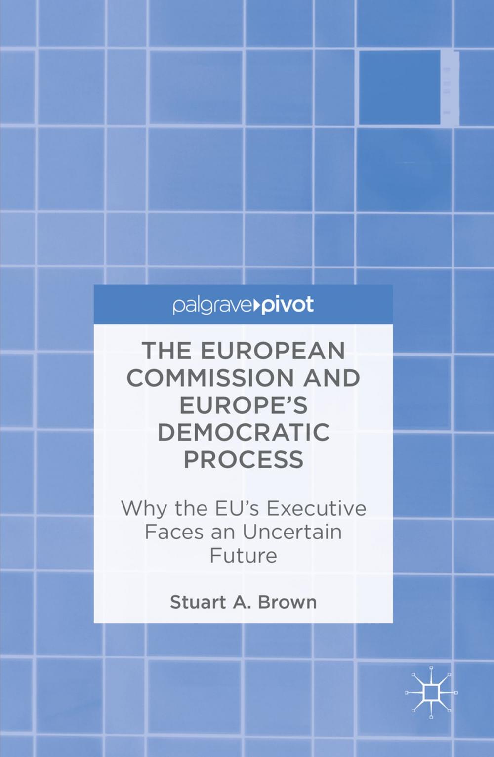 Big bigCover of The European Commission and Europe's Democratic Process