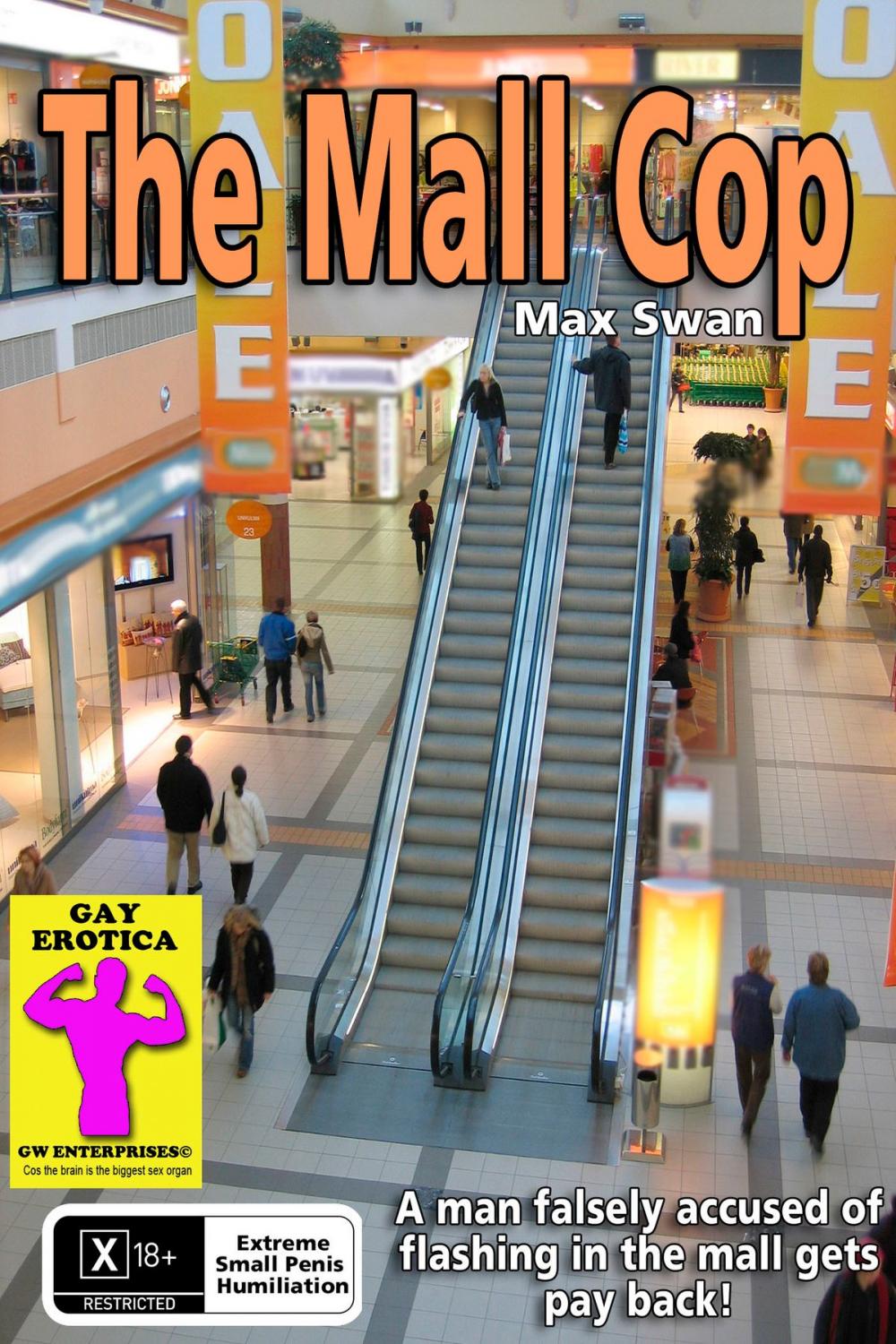 Big bigCover of The Mall Cop