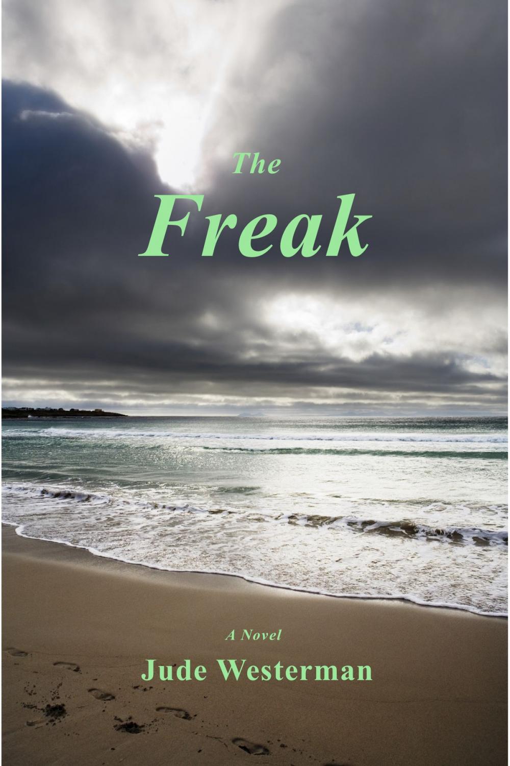 Big bigCover of The Freak