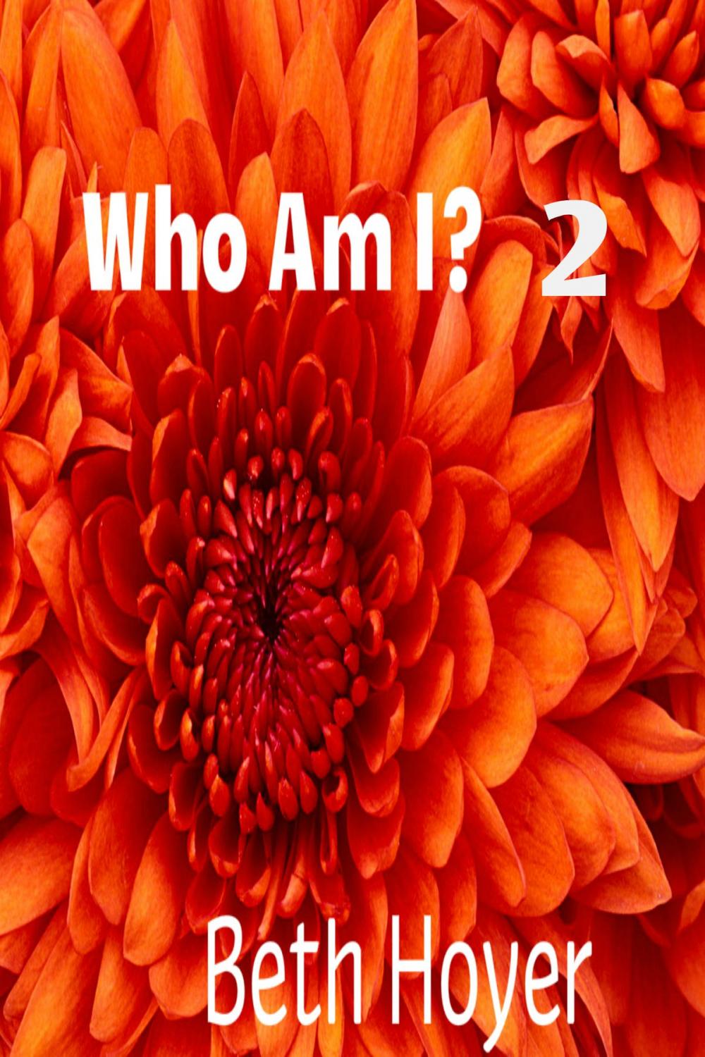 Big bigCover of Who Am I? 2