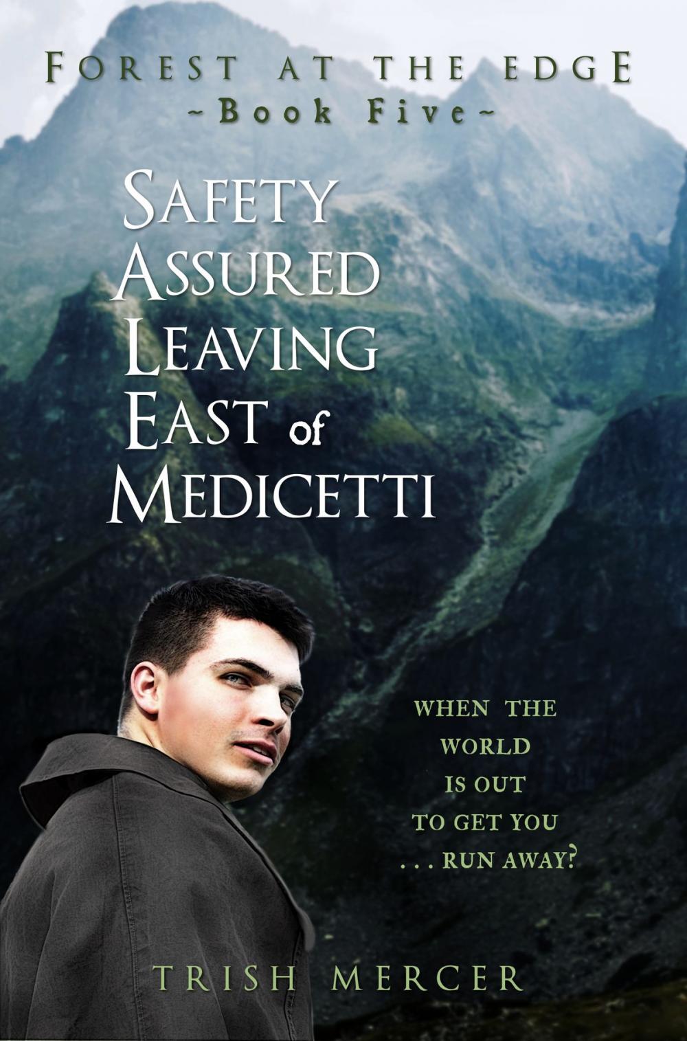 Big bigCover of Safety Assured Leaving East of Medicetti (Book 5 Forest at the Edge)