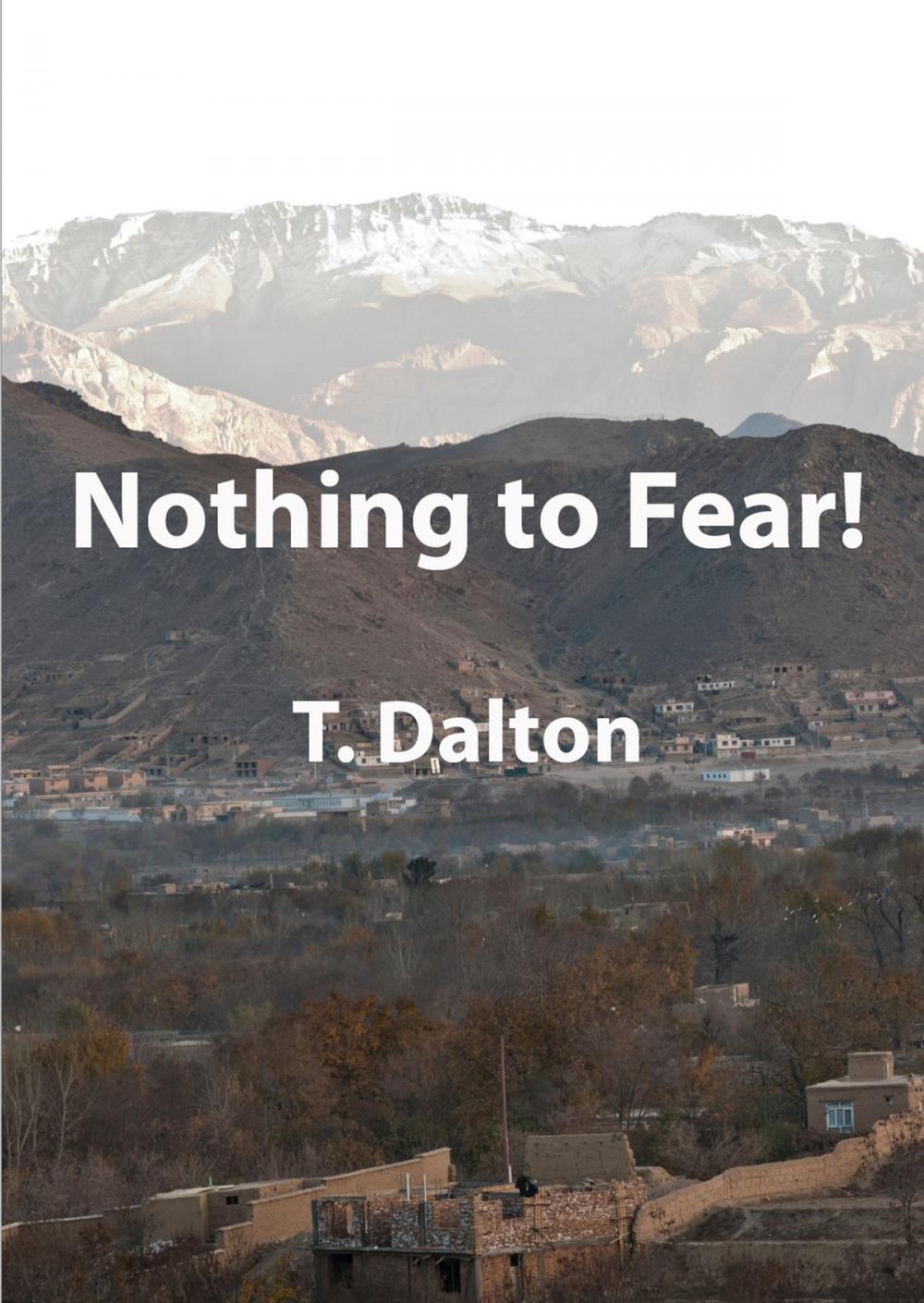 Big bigCover of Nothing To Fear