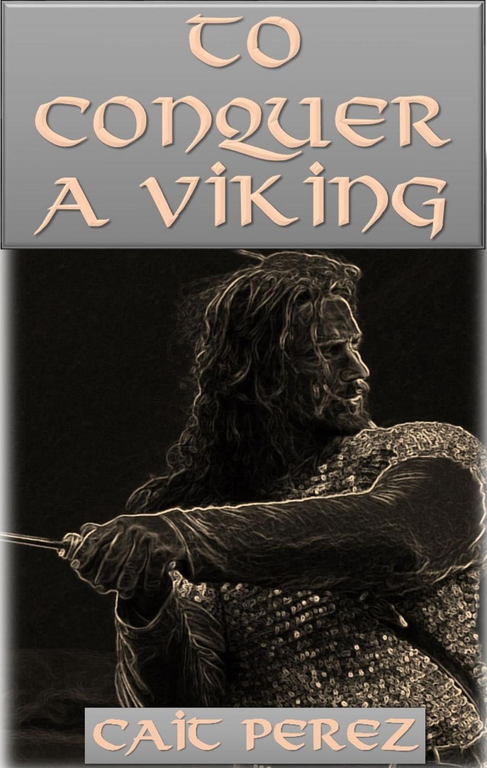 Big bigCover of To Conquer a Viking