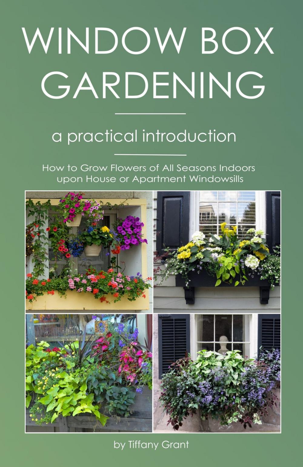 Big bigCover of Window Gardening - A Practical Introduction