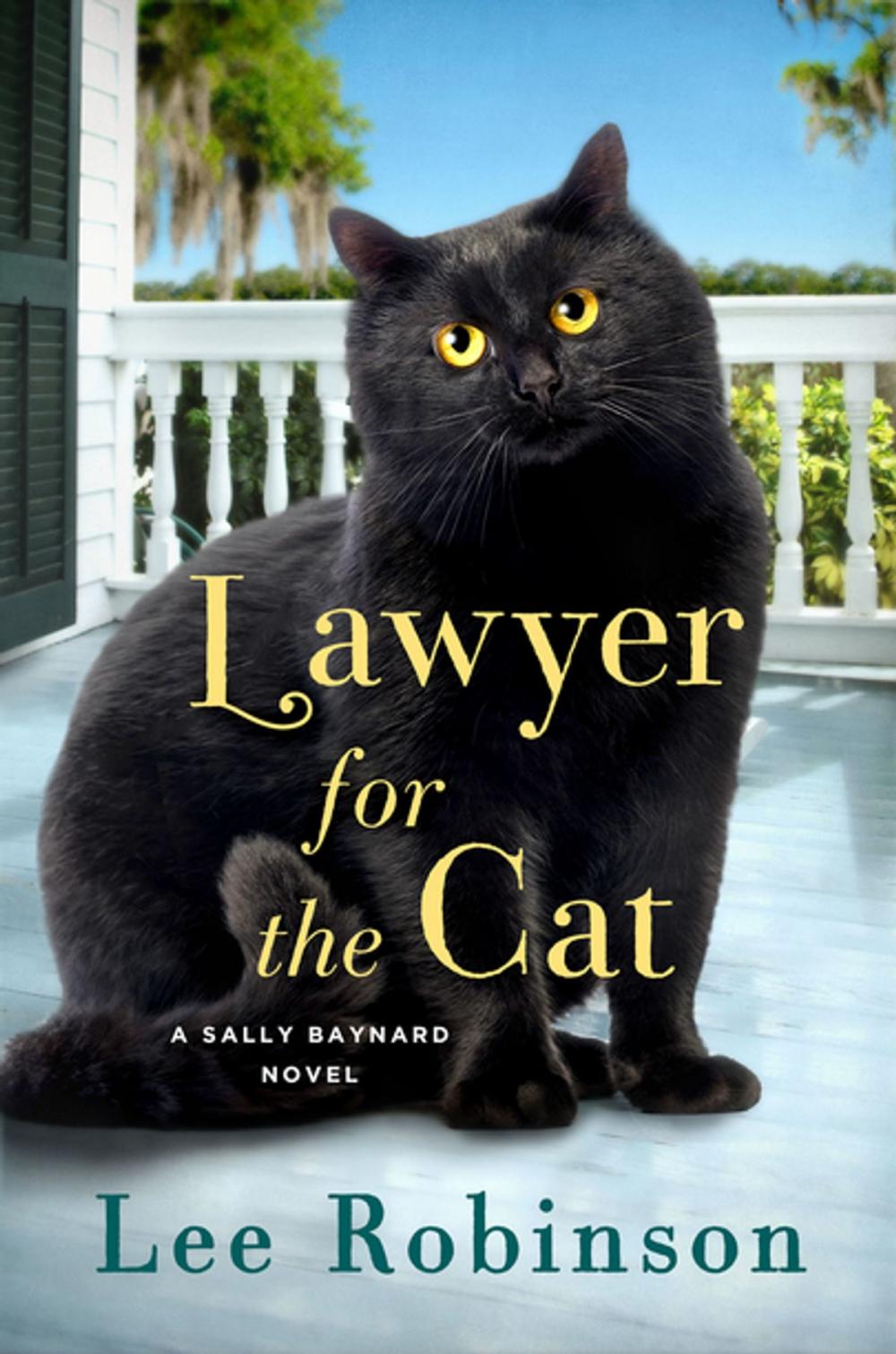 Big bigCover of Lawyer for the Cat