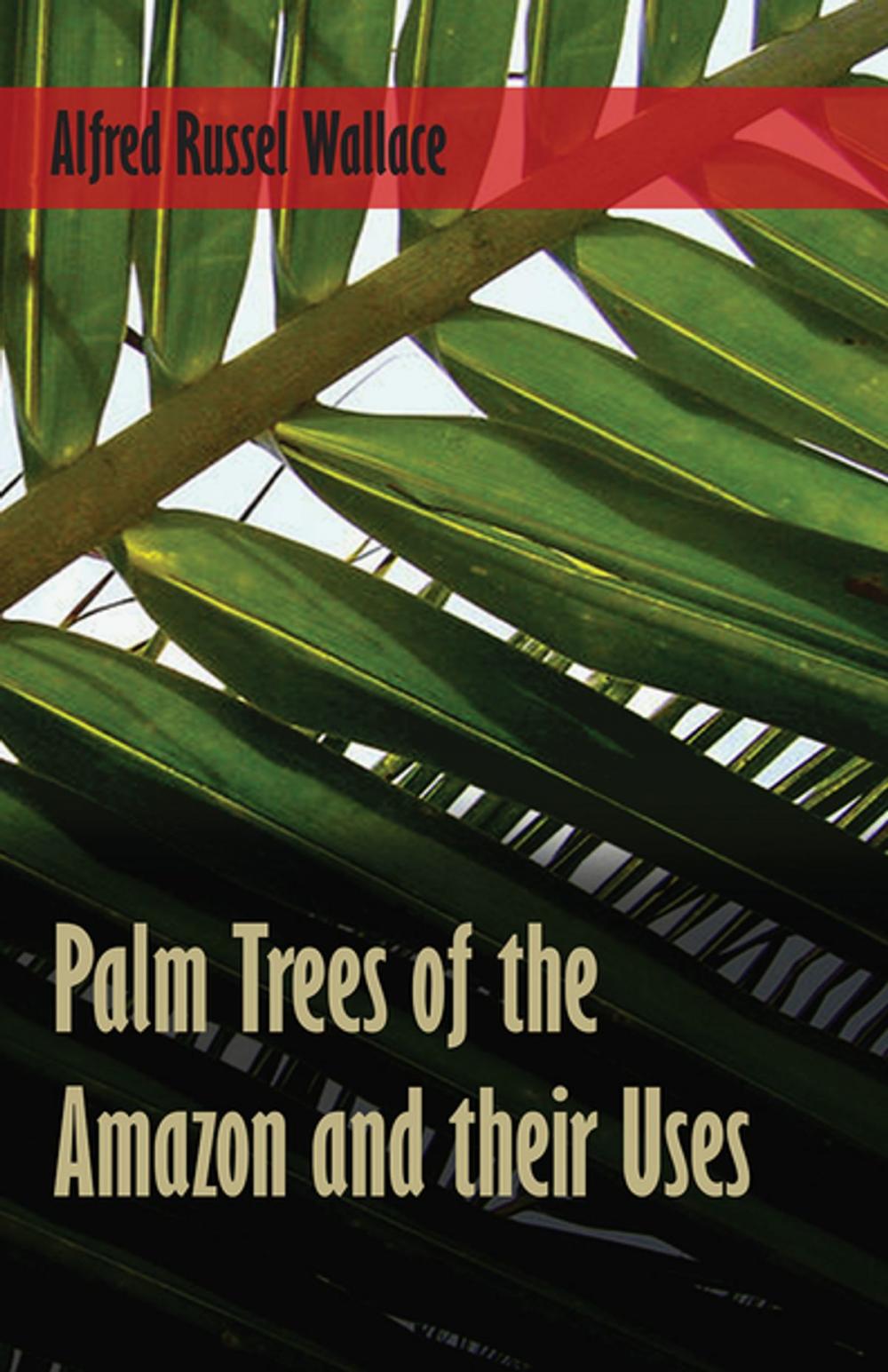 Big bigCover of Palm Trees of the Amazon and their Uses