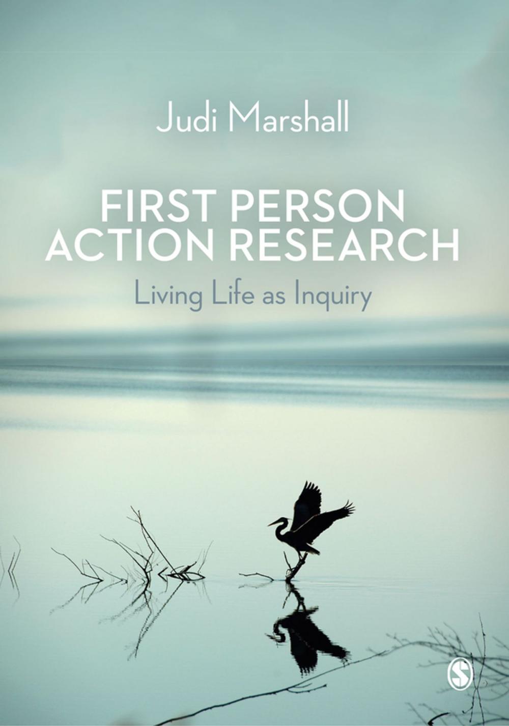 Big bigCover of First Person Action Research