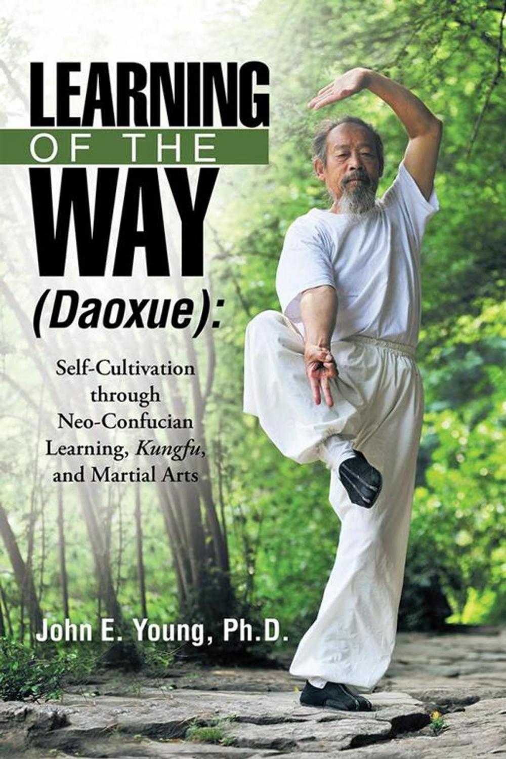 Big bigCover of Learning of the Way (Daoxue):