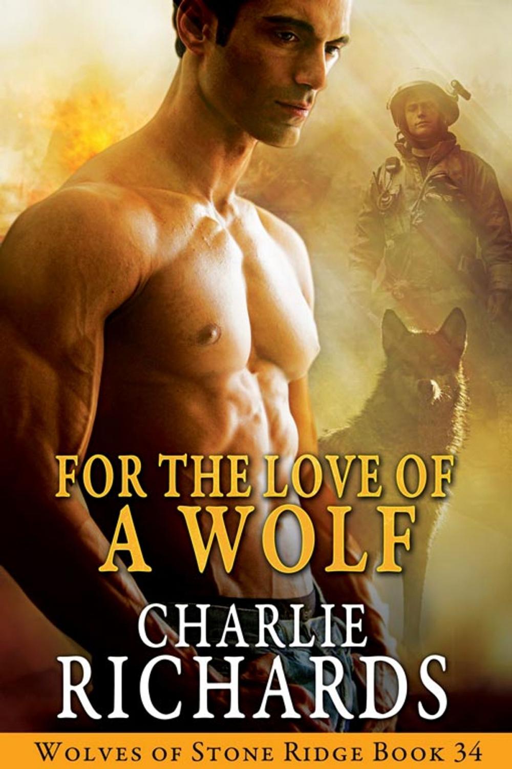 Big bigCover of For the Love of a Wolf