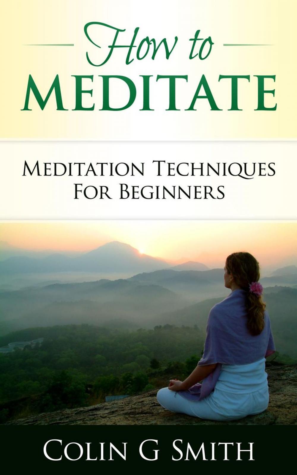 Big bigCover of How To Meditate: Meditation Techniques For Beginners Guide Book