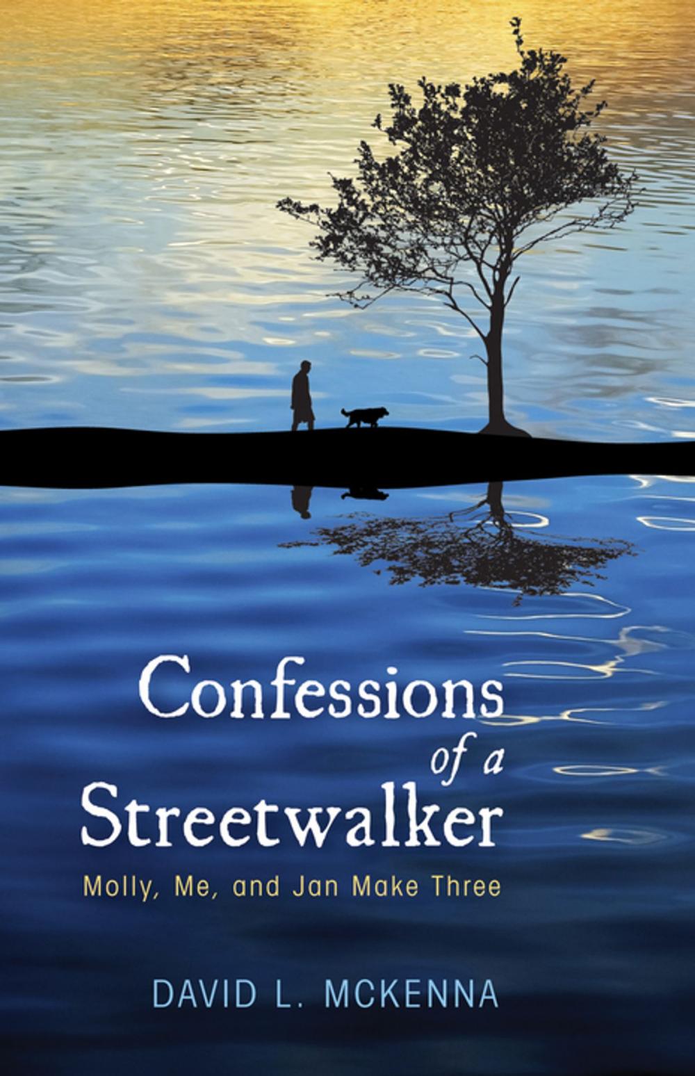 Big bigCover of Confessions of a Streetwalker