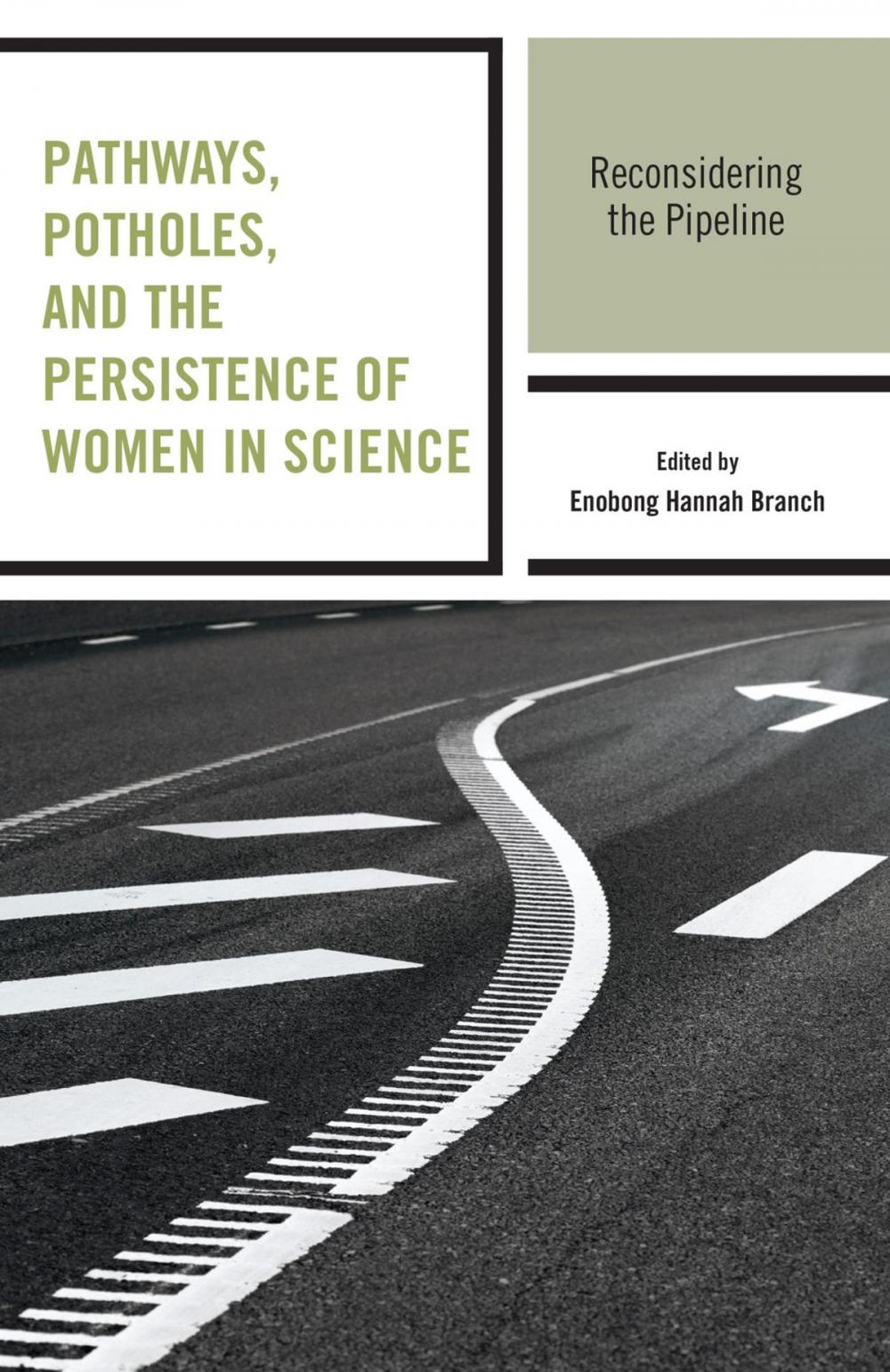 Big bigCover of Pathways, Potholes, and the Persistence of Women in Science