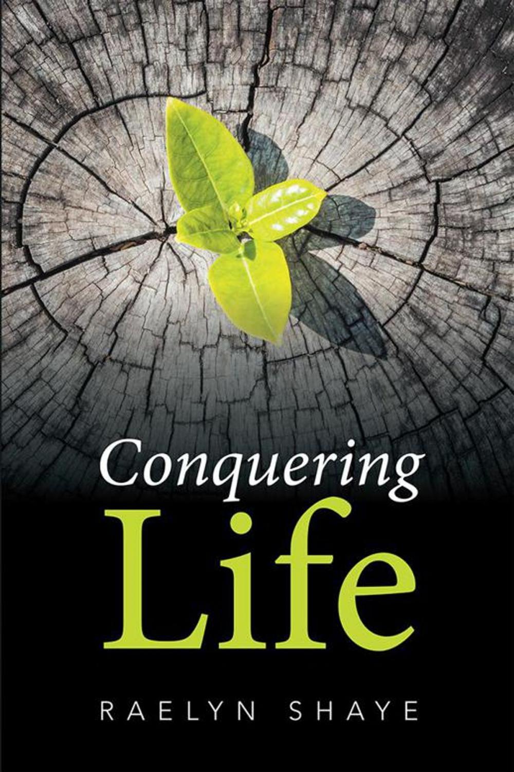 Big bigCover of Conquering Life