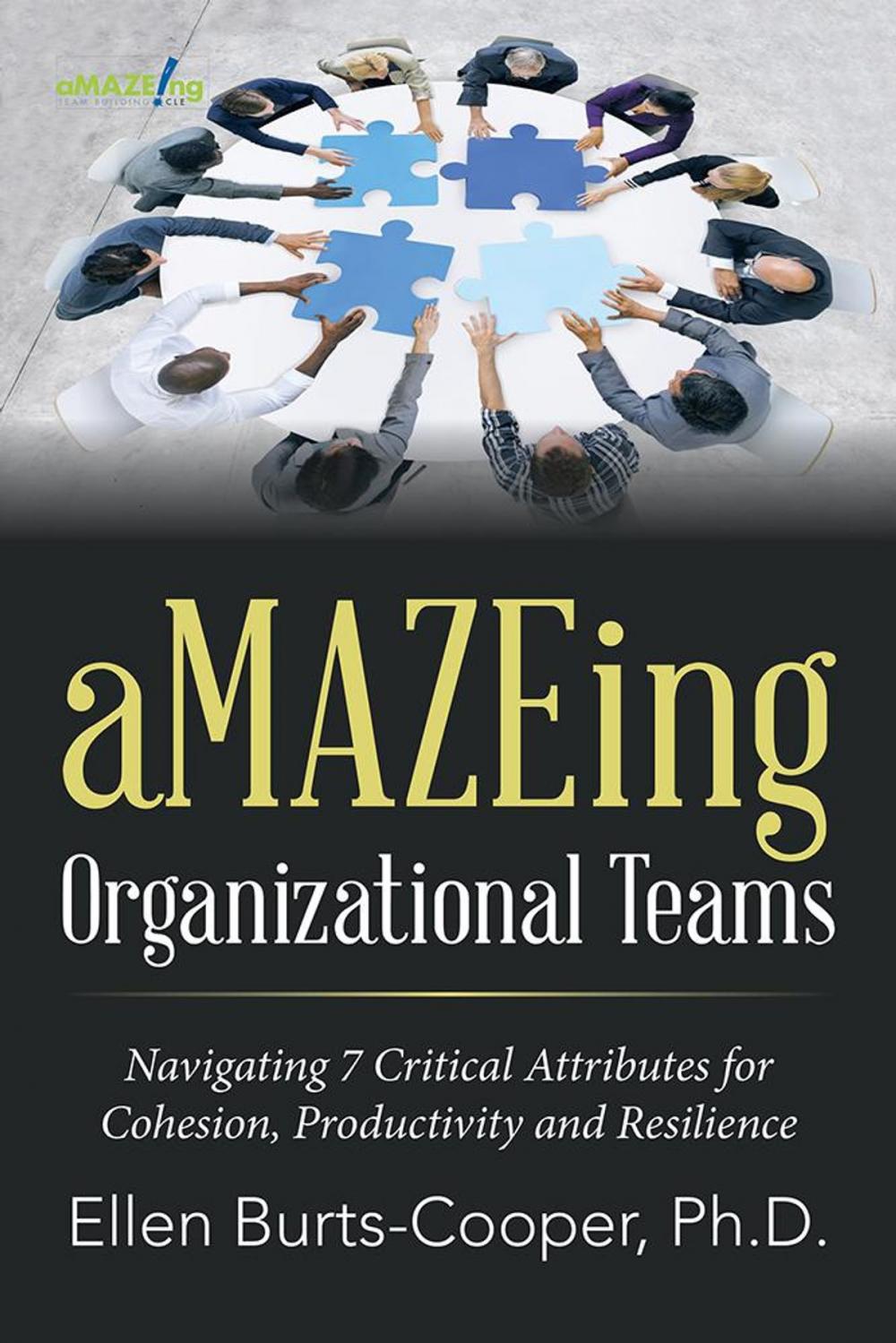 Big bigCover of Amazeing Organizational Teams