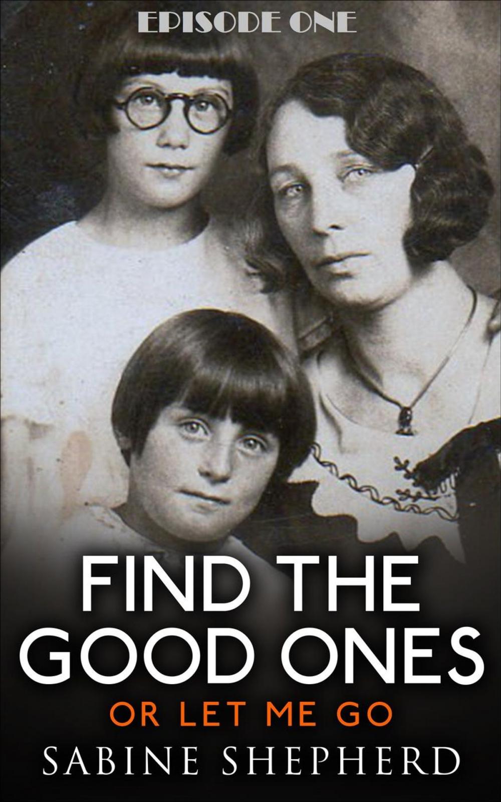 Big bigCover of Find The Good Ones or Let Me Go-Second Edition E1