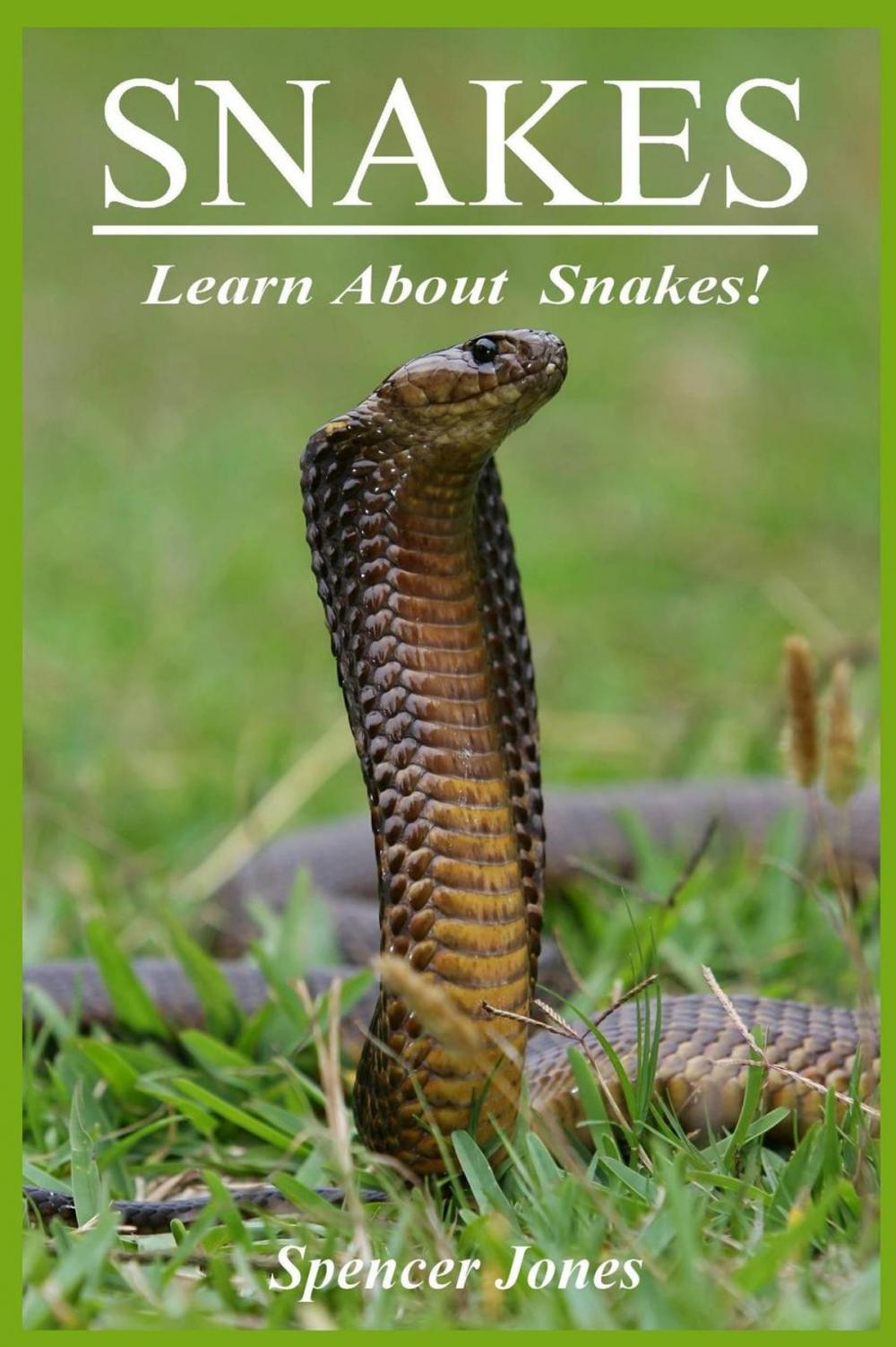 Big bigCover of Snakes:Fun Facts & Amazing Pictures - Learn About Snakes