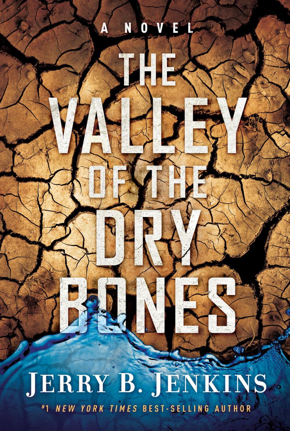 Big bigCover of The Valley of Dry Bones