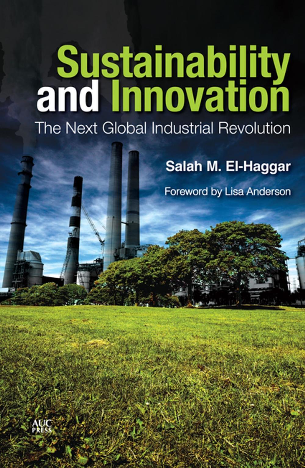 Big bigCover of Sustainability and Innovation