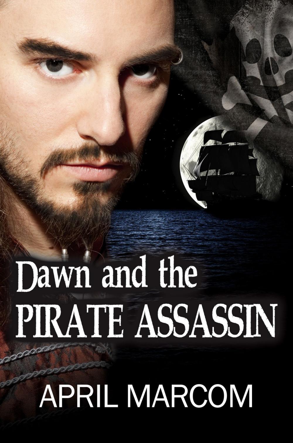 Big bigCover of Dawn and the Pirate Assassin