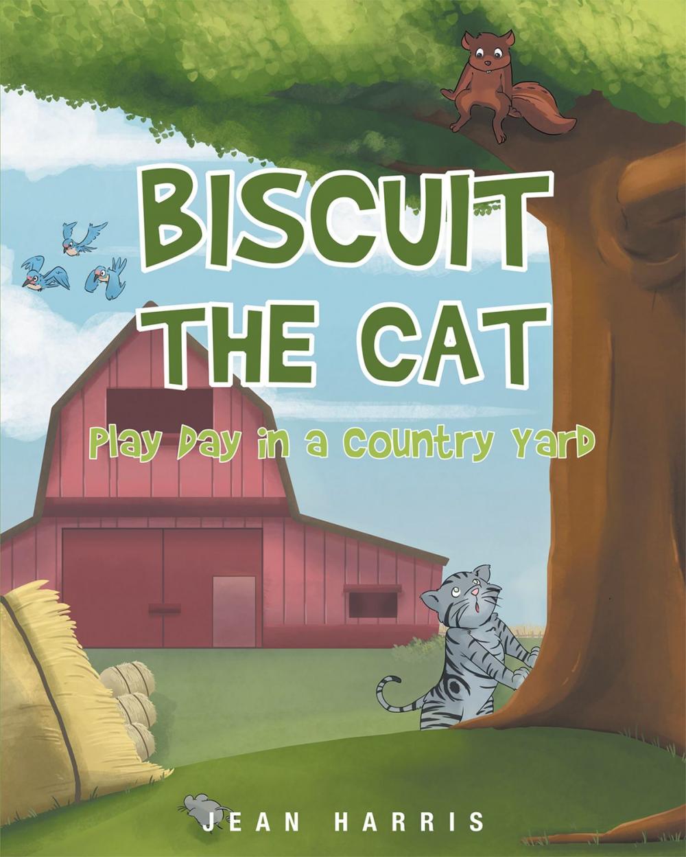 Big bigCover of Biscuit the Cat: Play Day in a Country Yard