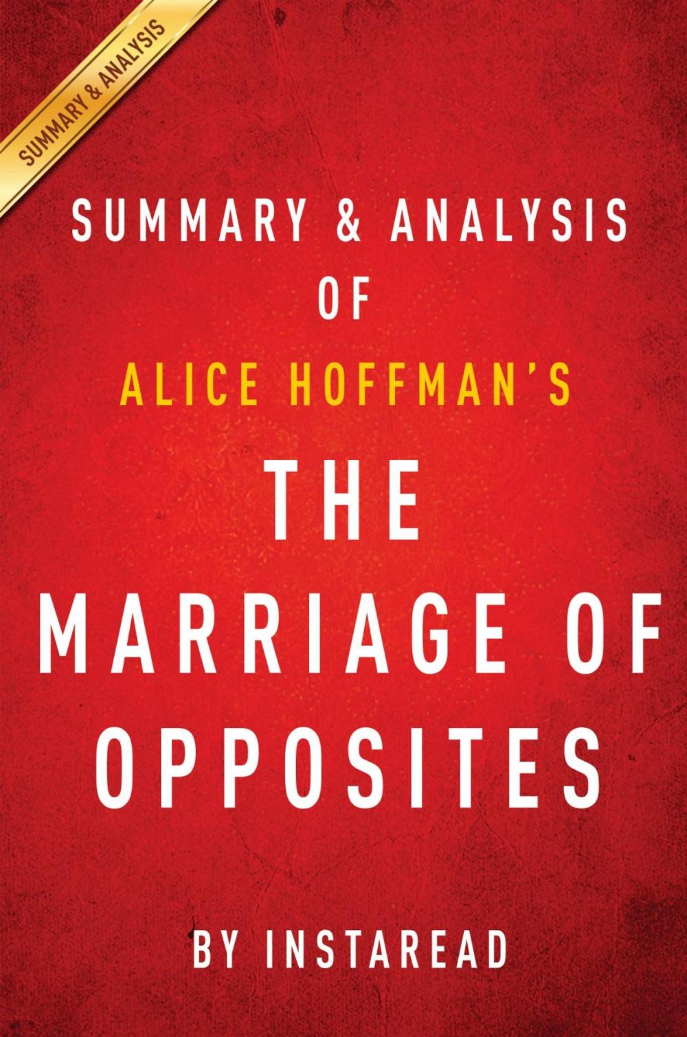 Big bigCover of Summary of The Marriage of Opposites