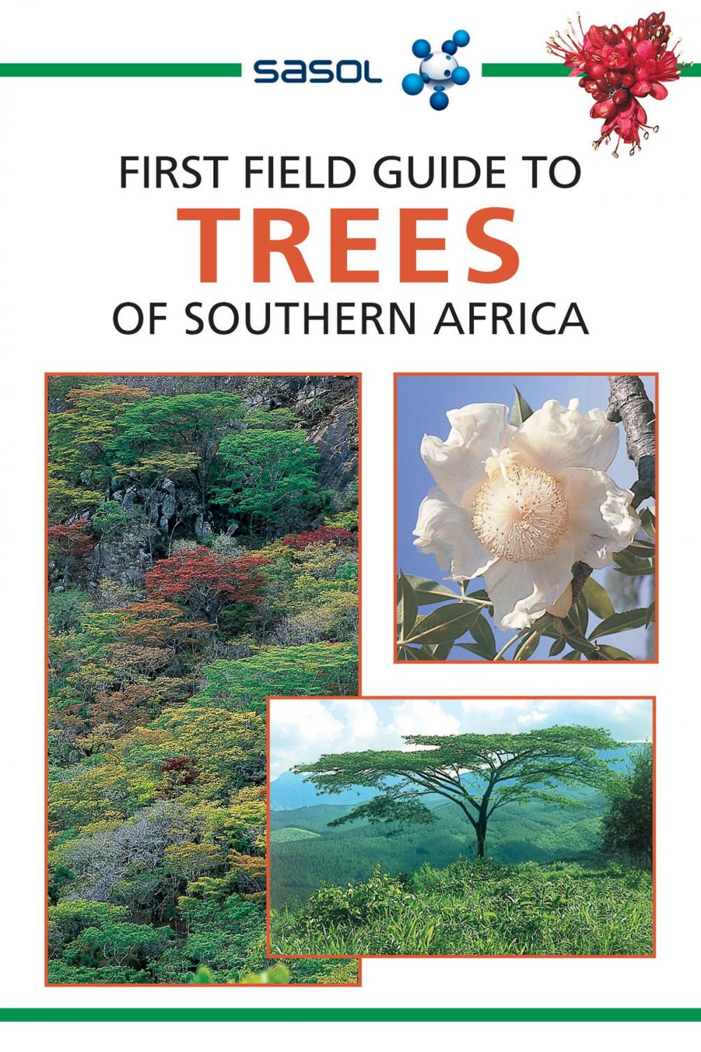 Big bigCover of First Field Guide to Trees of Southern Africa
