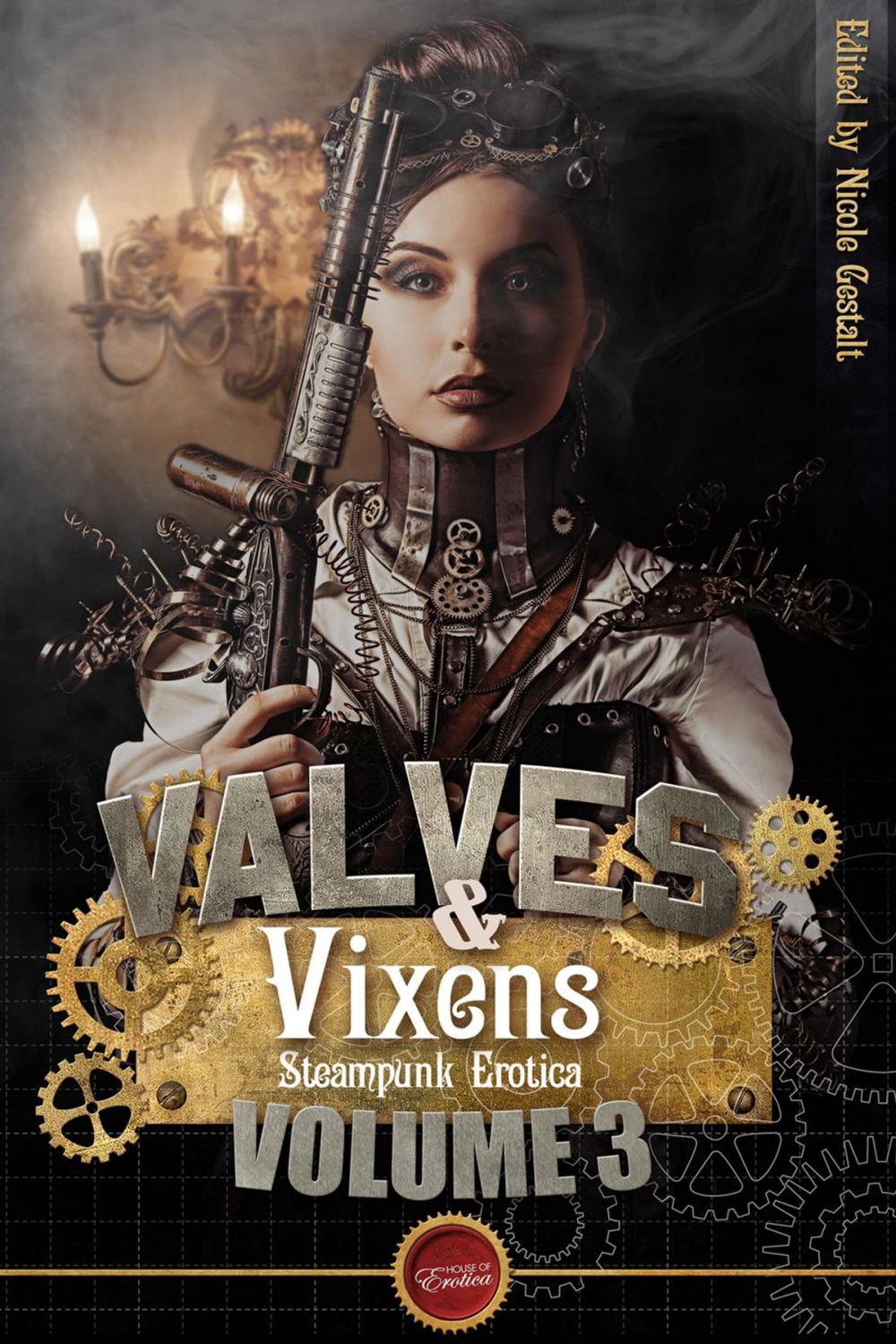Big bigCover of Valves & Vixens Volume 3