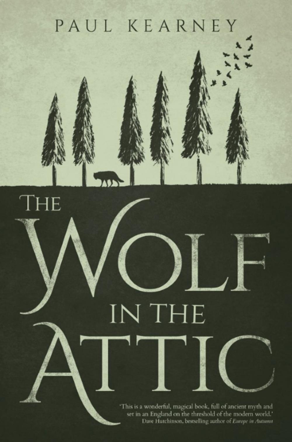 Big bigCover of The Wolf in the Attic