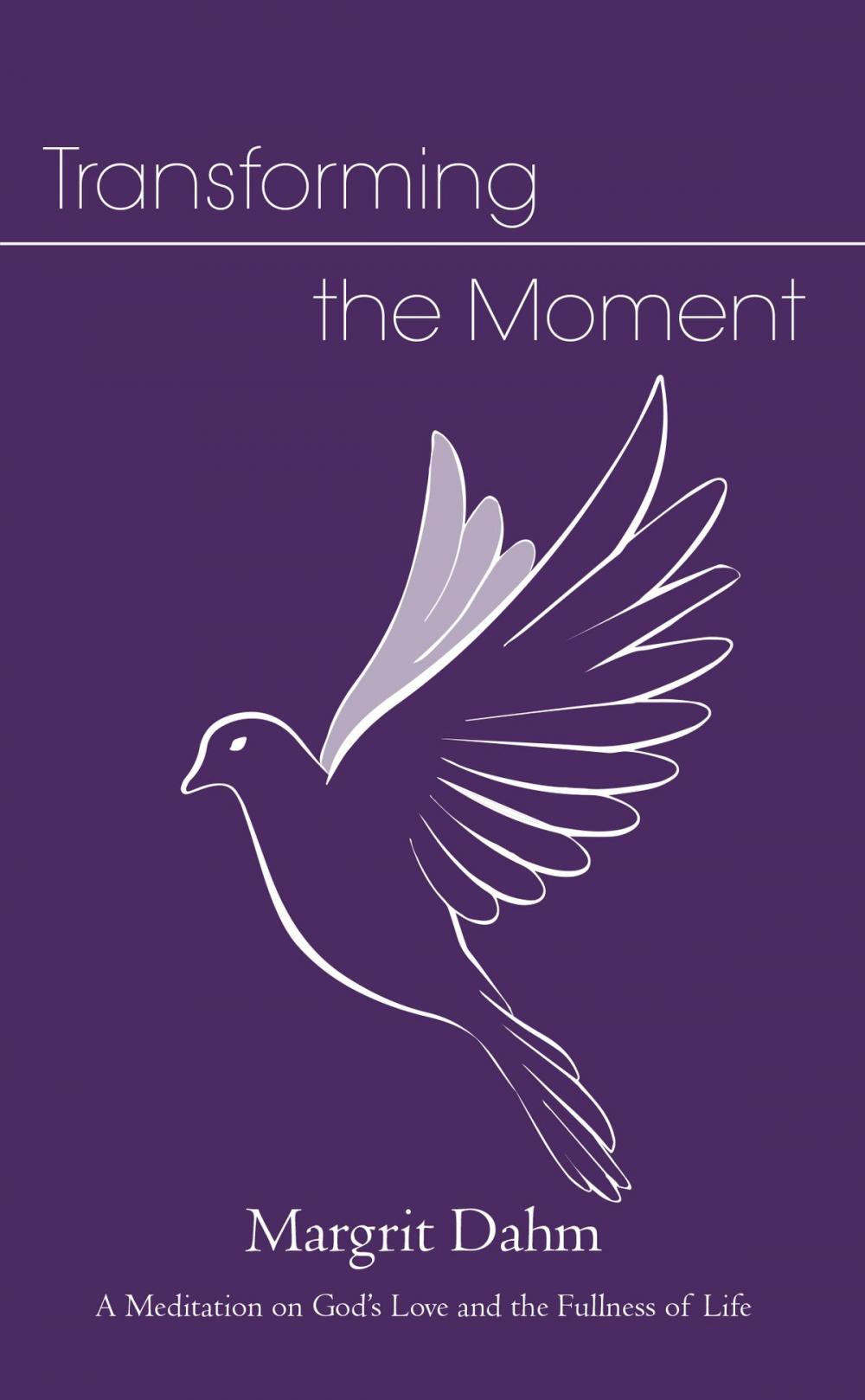 Big bigCover of Transforming the Moment: A Meditation on God’s Love and the Fullness of Life