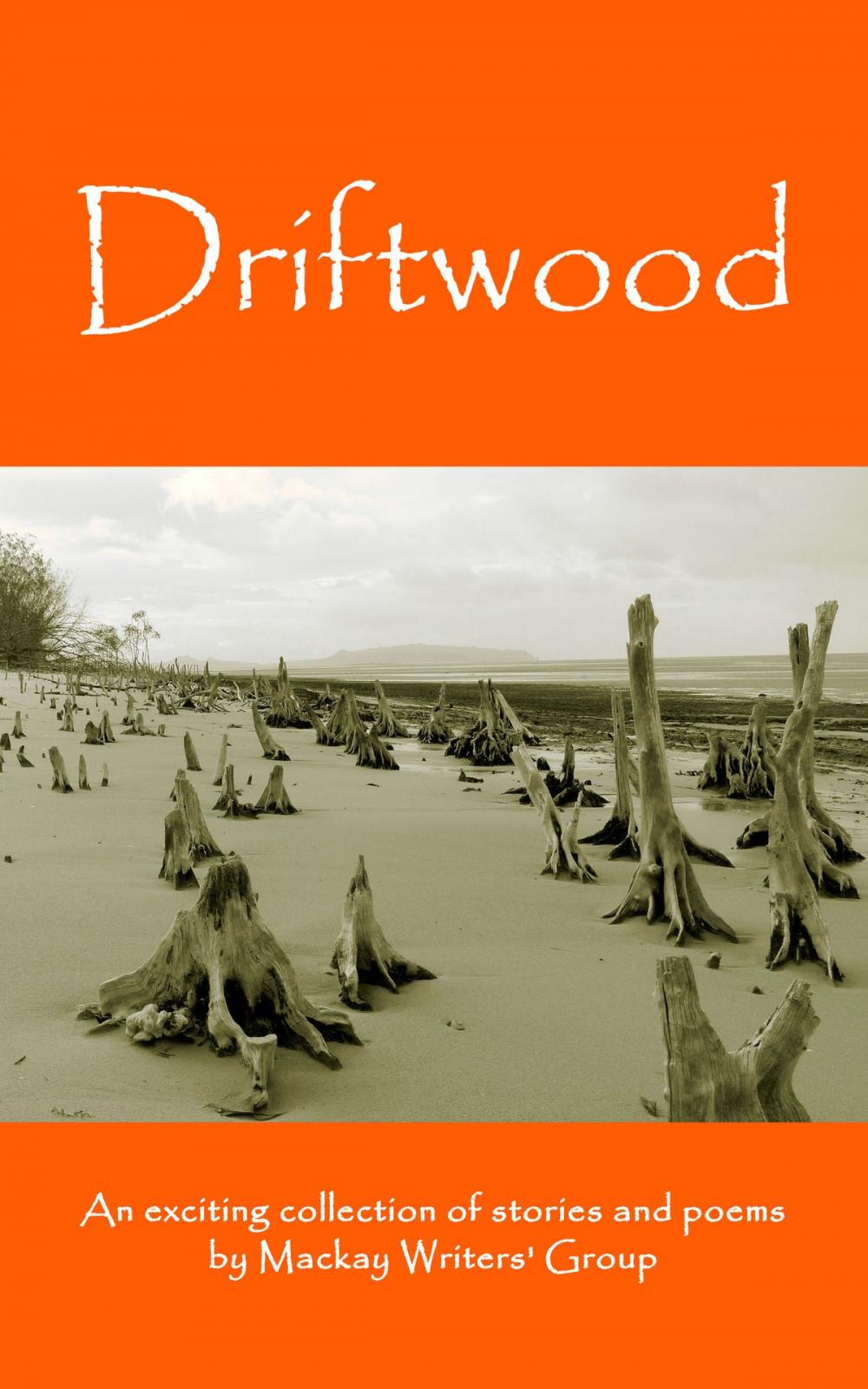 Big bigCover of Driftwood: An anthology of works by members of the Mackay-Pioneer Valley Arts Council Writers Group (Mackay Writers)