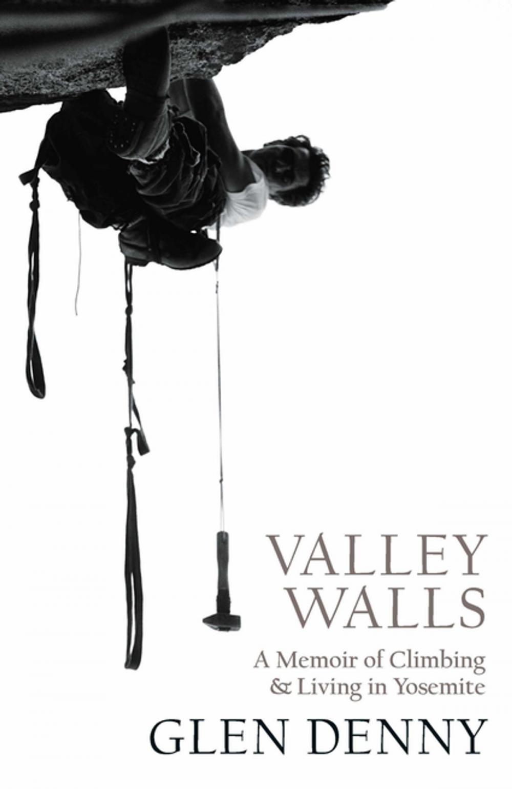 Big bigCover of Valley Walls