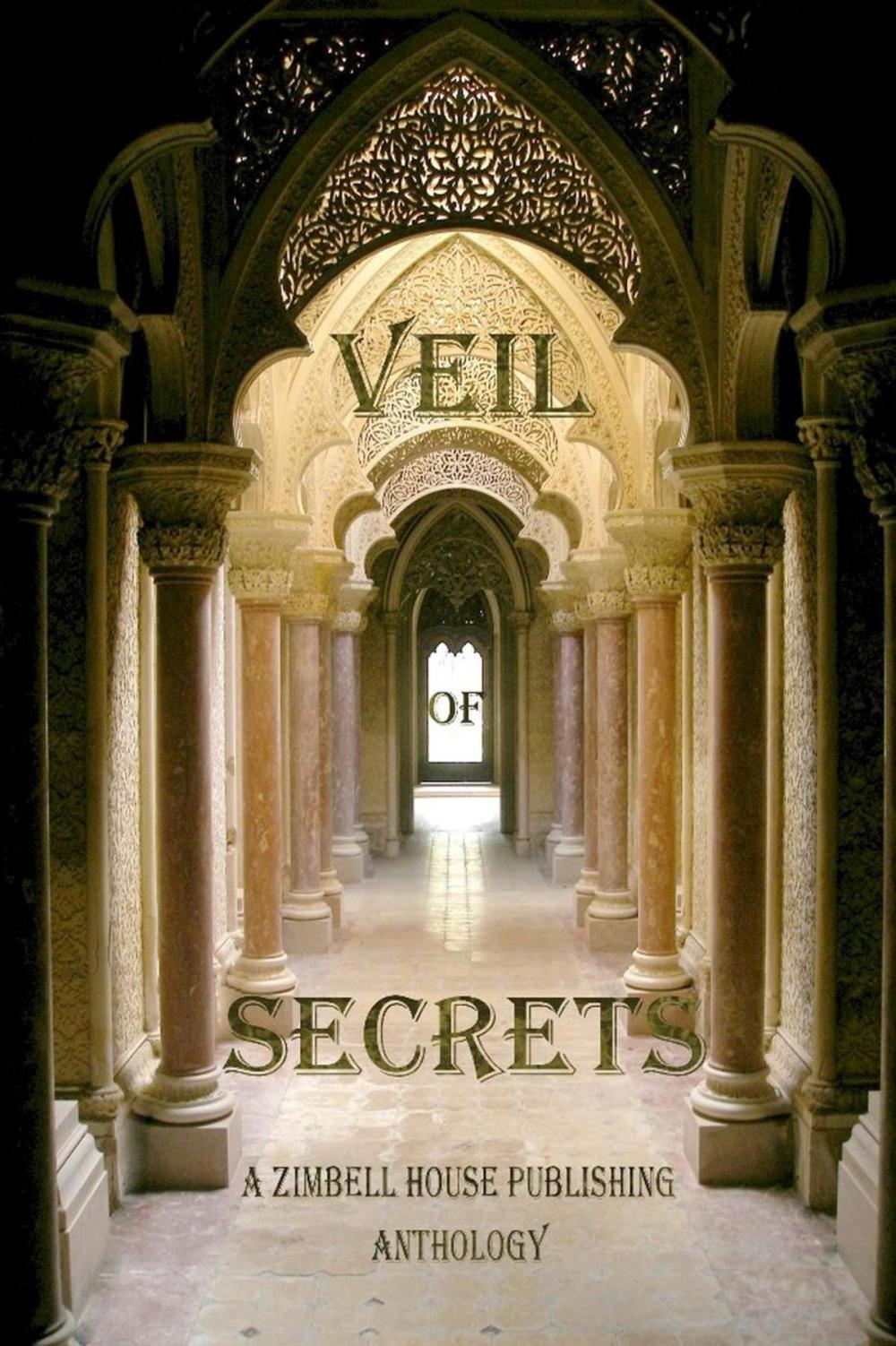 Big bigCover of Veil of Secrets