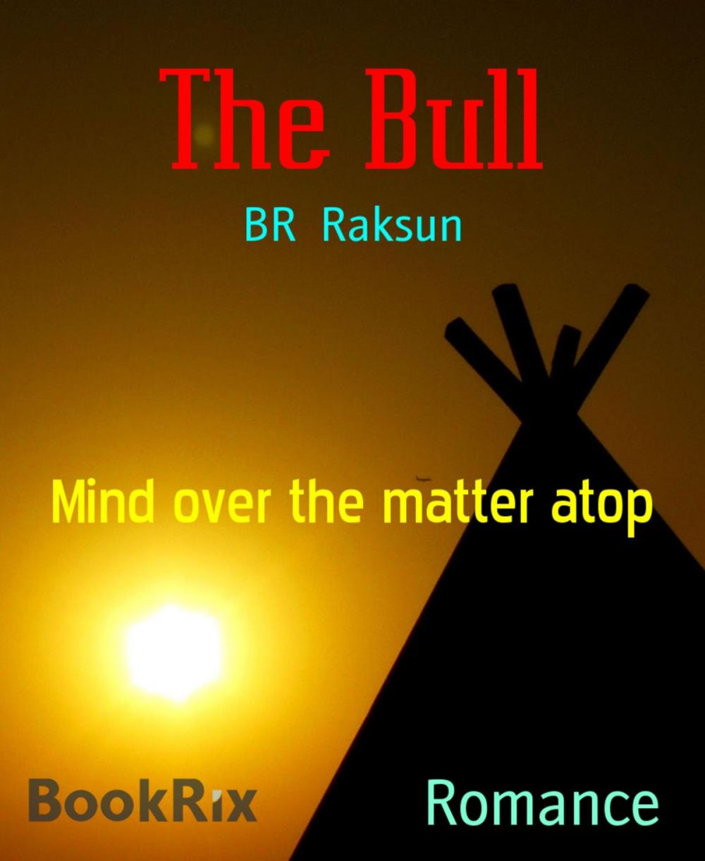 Big bigCover of The Bull