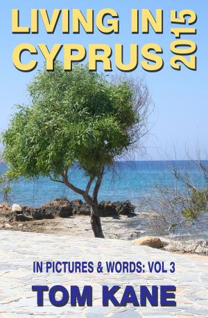 Cover of the book Living in Cyprus by Paul Adams