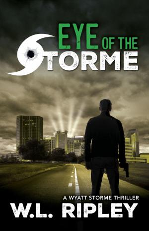 Cover of the book Eye of the Storme by Stan Lee