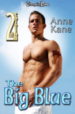 Cover of the book 2nd Edition: The Big Blue by Alice Gaines
