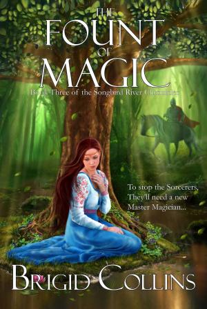 Cover of The Fount of Magic