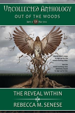 Cover of the book The Reveal Within by S.C. Stephens